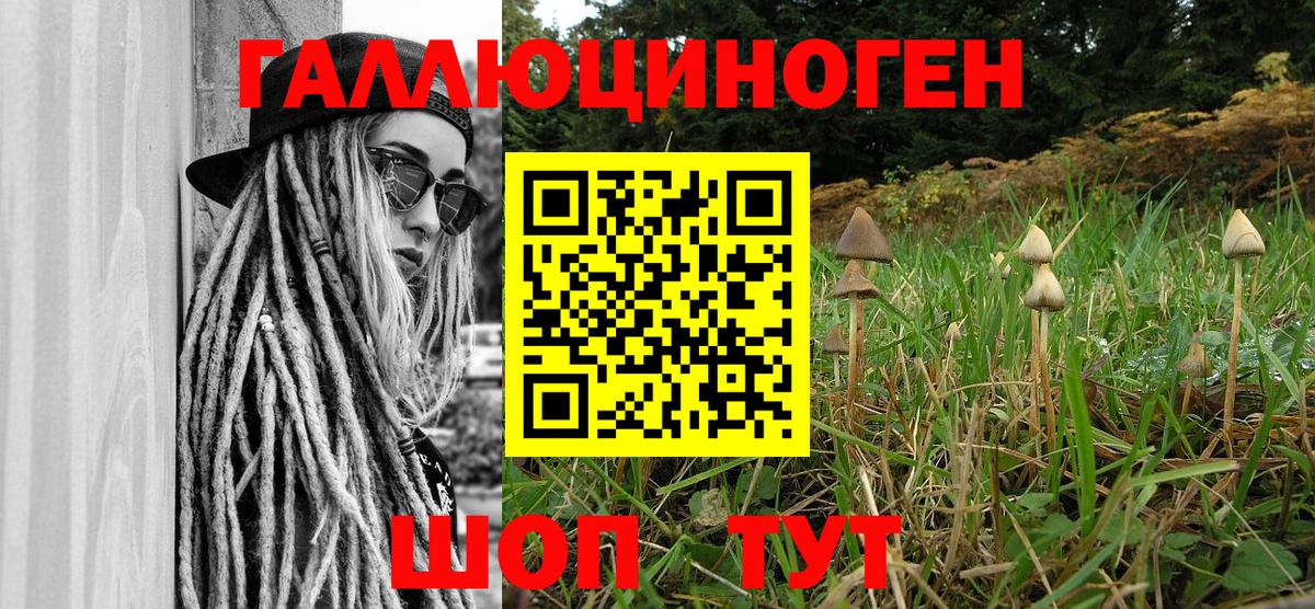 Галлюциногенные грибы Psilocybine cubensis Салават