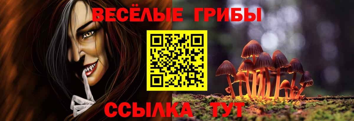 закладка  Вход с VPN  Салават  Псилоцибиновые грибы мицелий 